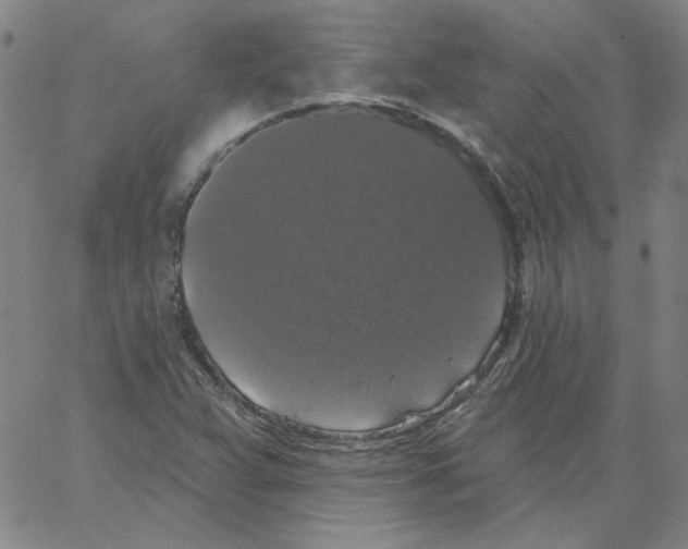 X0000066971359200604211856