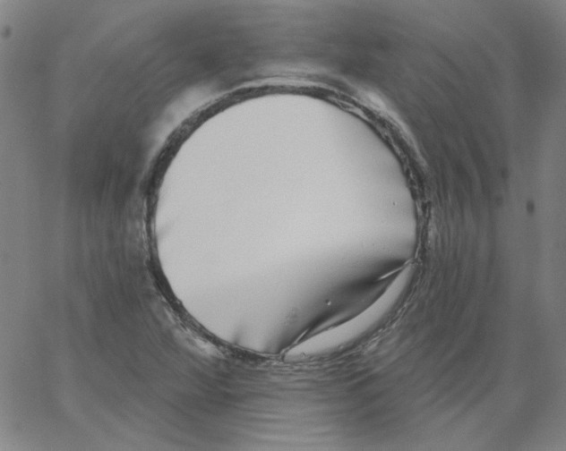 X0000066971360200604211856