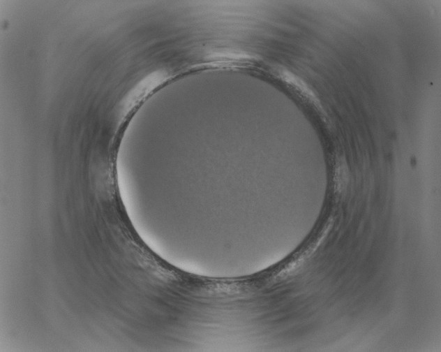 X0000066971362200604211856