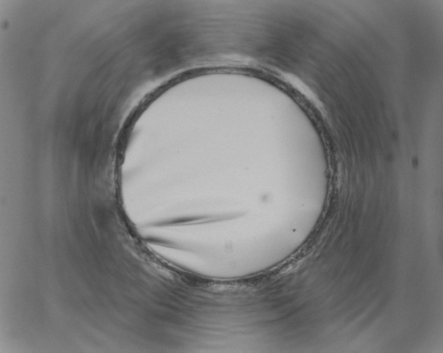 X0000066971364200604211856