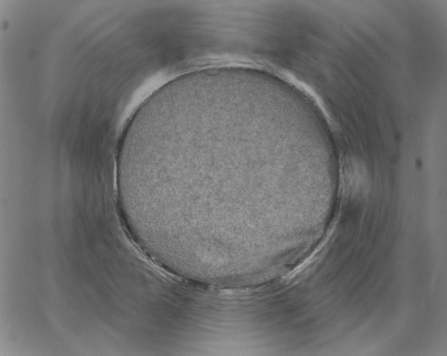 X0000066971365200604211856