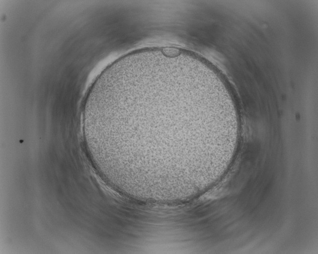 X0000066971366200604211856