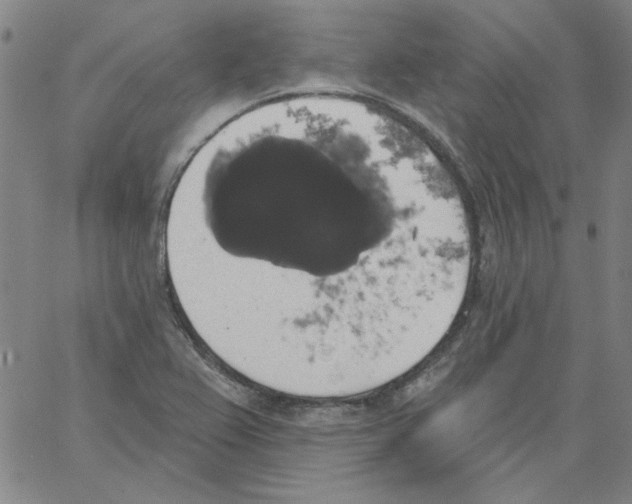 X0000066971367200604211856