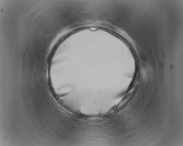 X0000066971368200604211856