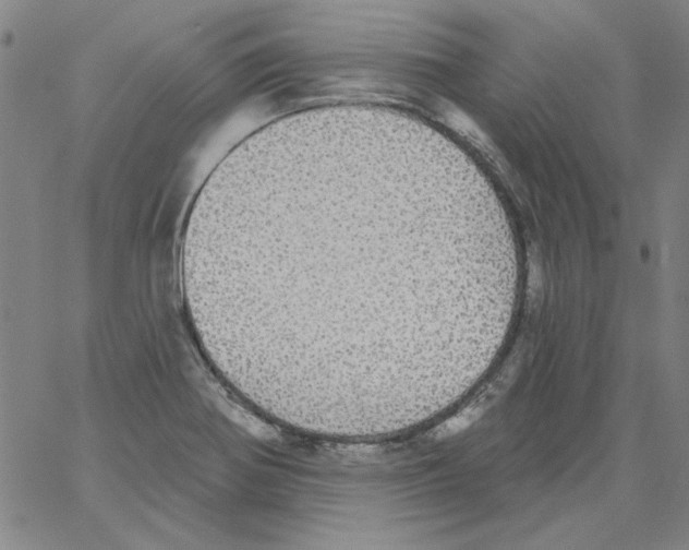 X0000066971370200604211856