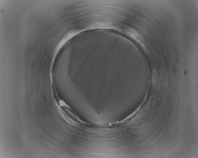 X0000066971372200604211856