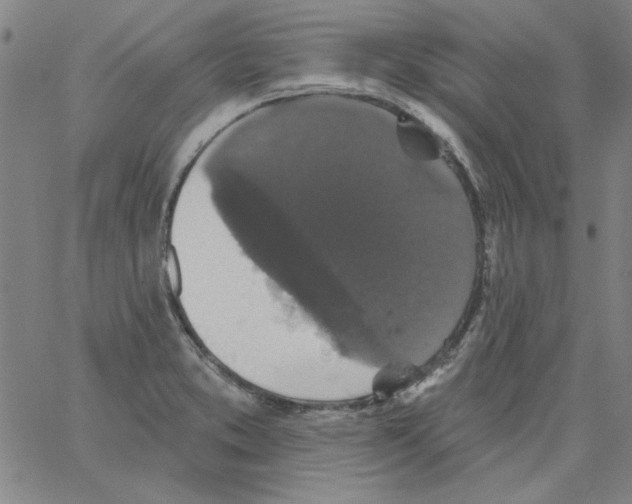 X0000066971373200604211856