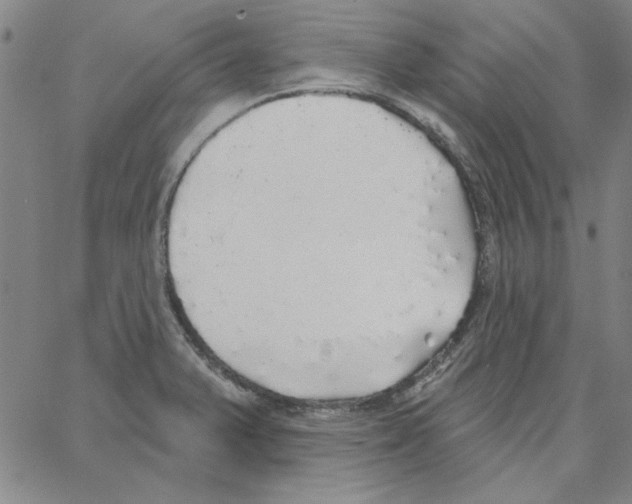 X0000066971375200604211855