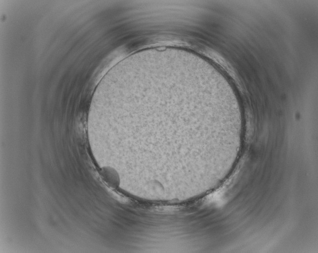 X0000066971377200604211855