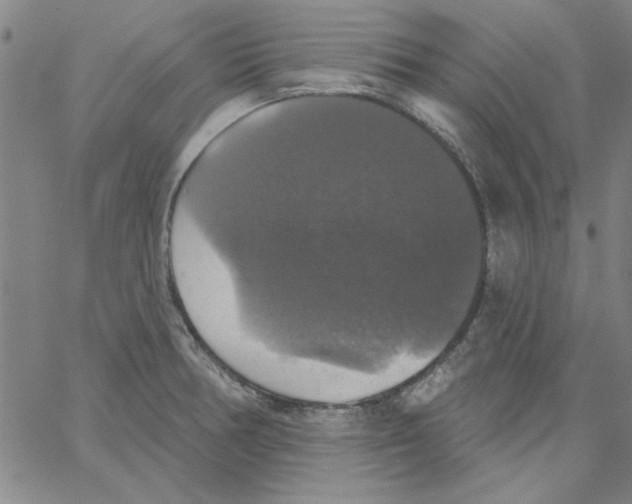 X0000066971378200604211855