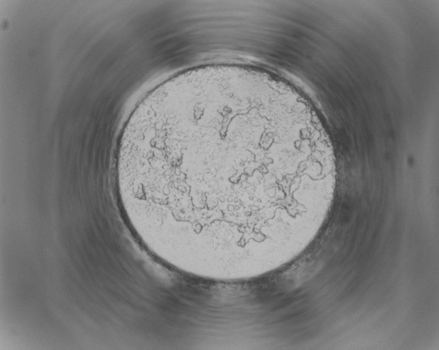 X0000066971379200604211855