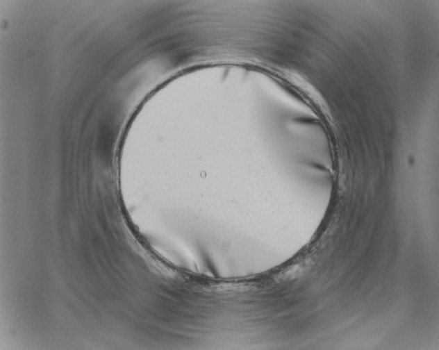 X0000066971380200604211855