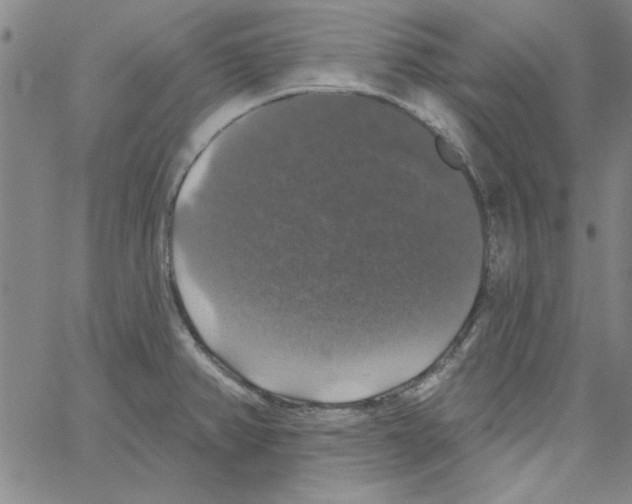 X0000066971382200604211855