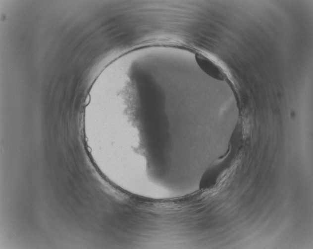 X0000066971383200604211855