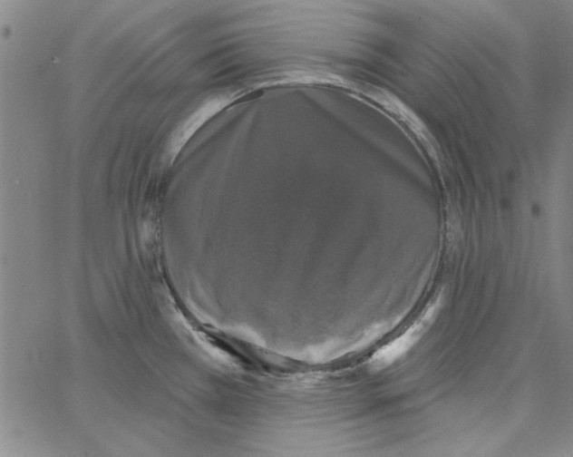 X0000066971385200604211855