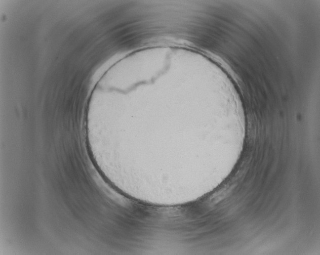 X0000066971387200604211855