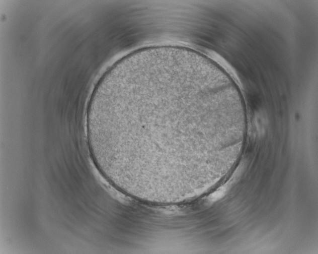 X0000066971388200604211855