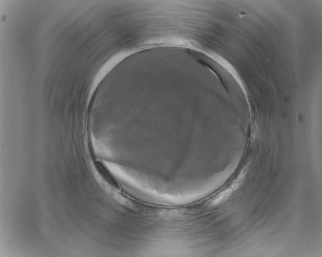 X0000066971389200604211855