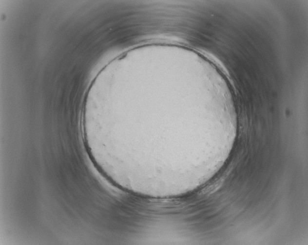 X0000066971391200604211855