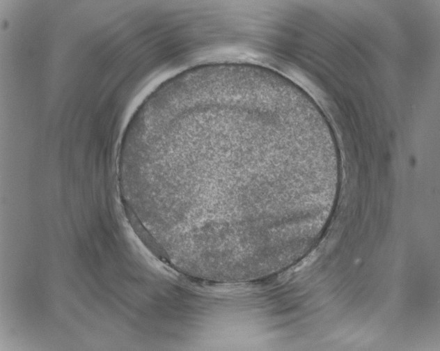 X0000066971392200604211855