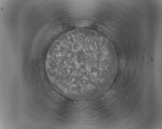 X0000066971393200604211854