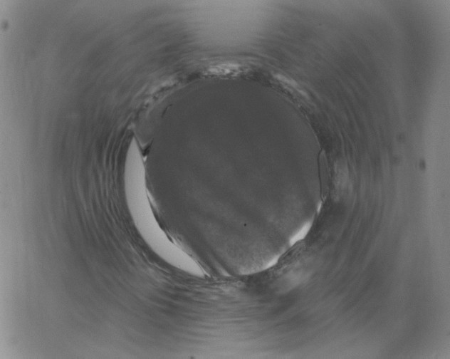 X0000066971394200604211854