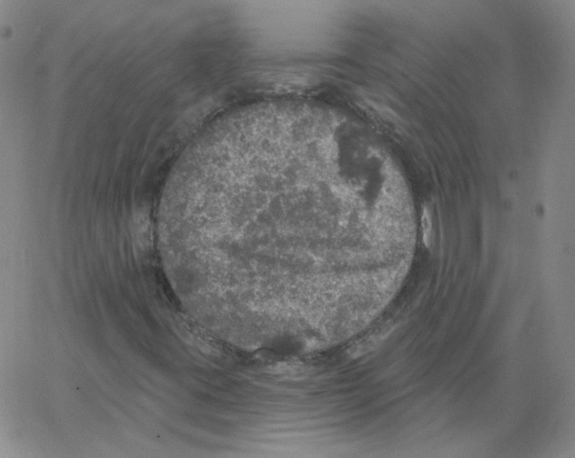 X0000066971395200604211854