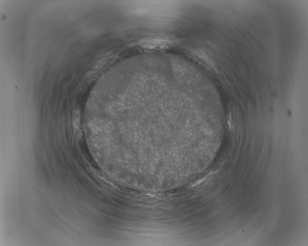 X0000066971396200604211854