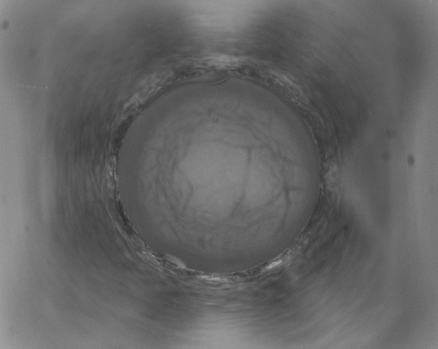 X0000066971397200604211855