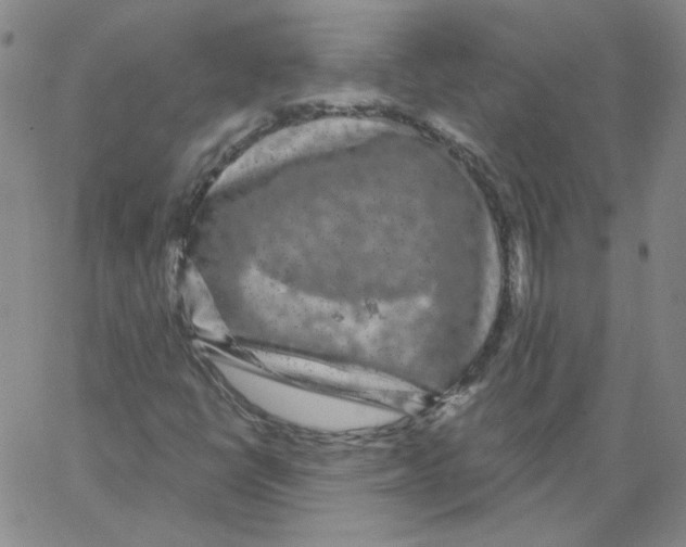 X0000066971398200604211855