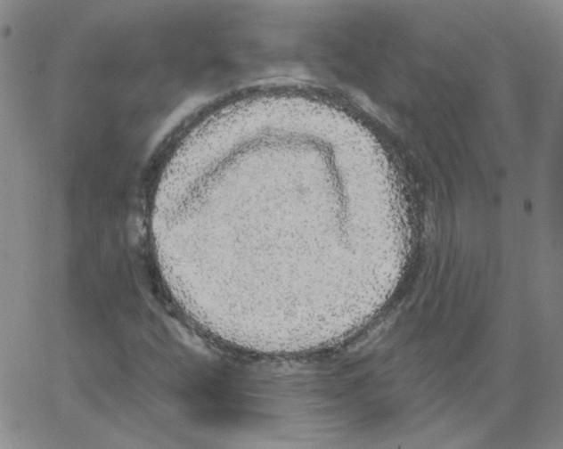 X0000066971400200604211855