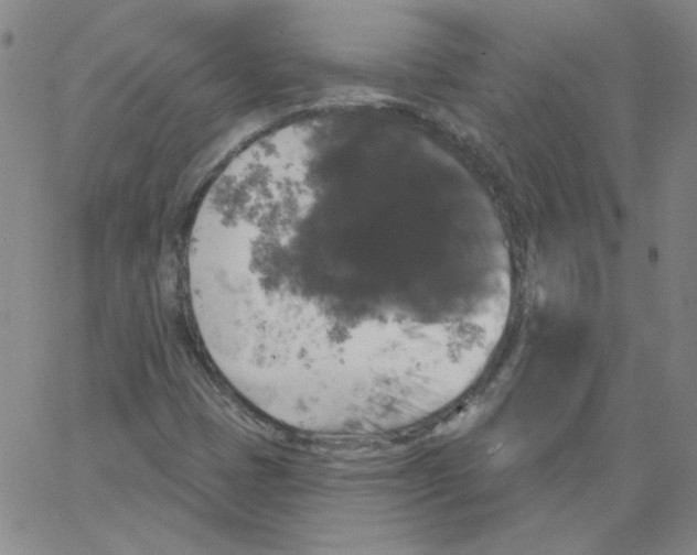 X0000066971401200604211855