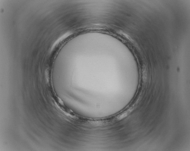 X0000066971402200604211855