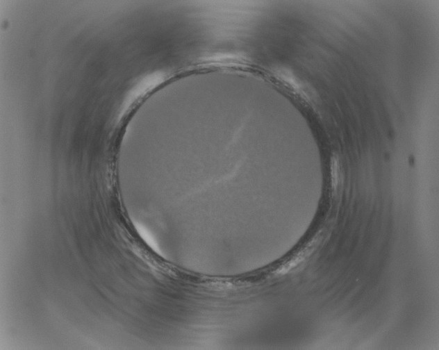 X0000066971405200604211855