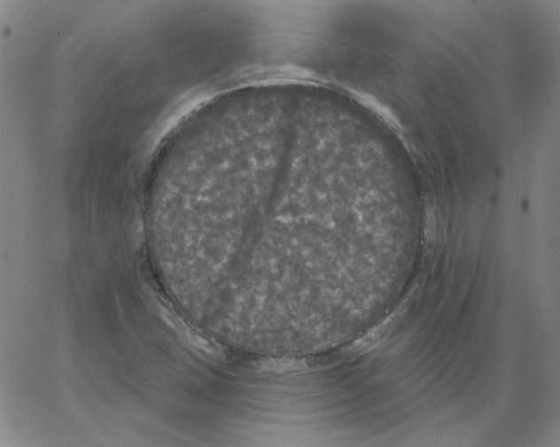 X0000066971407200604211855