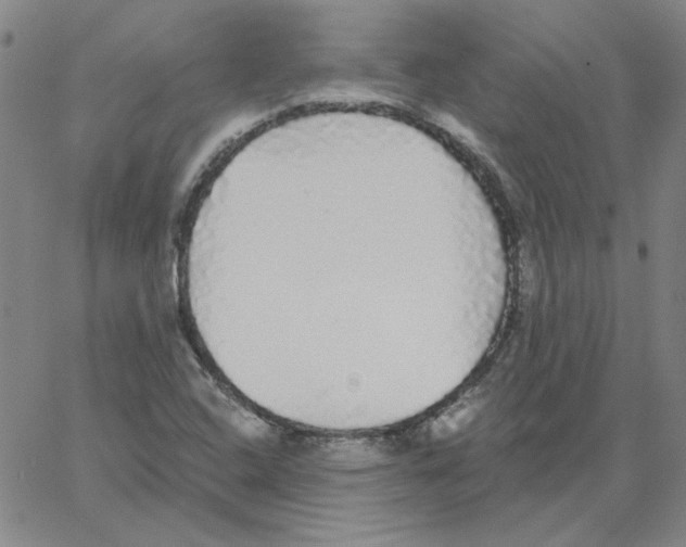 X0000066971408200604211855