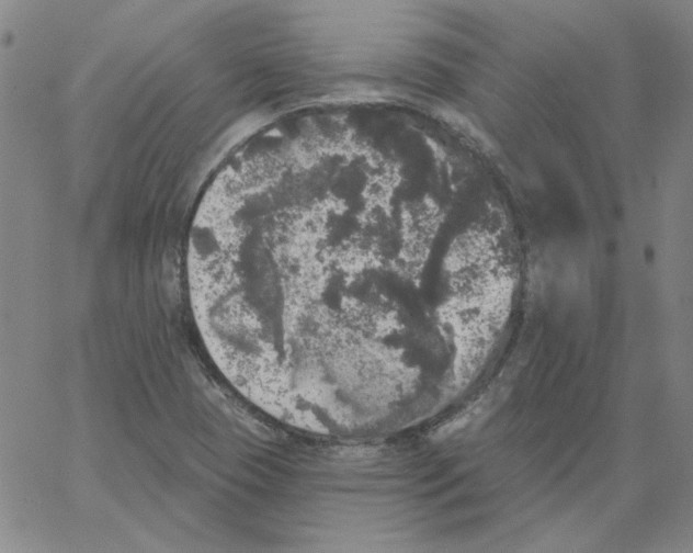 X0000066971409200604211855