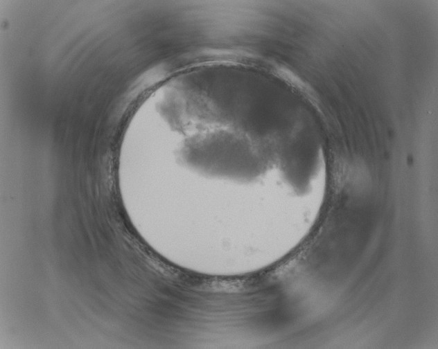 X0000066971411200604211855