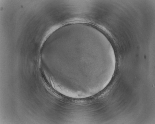 X0000066971413200604211855