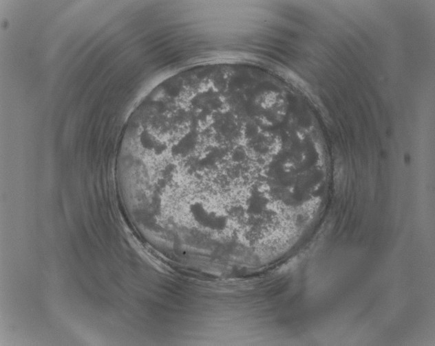 X0000066971417200604211855