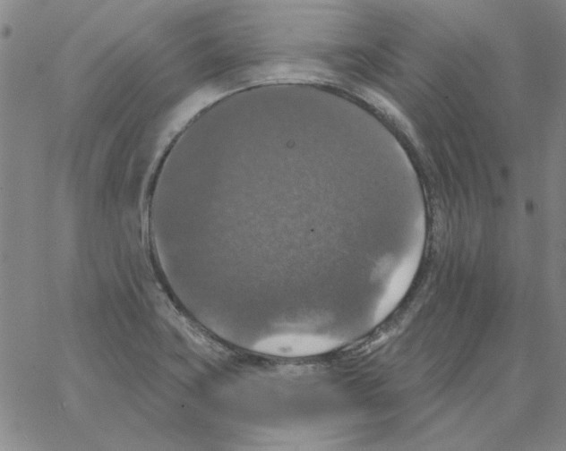 X0000066971419200604211855