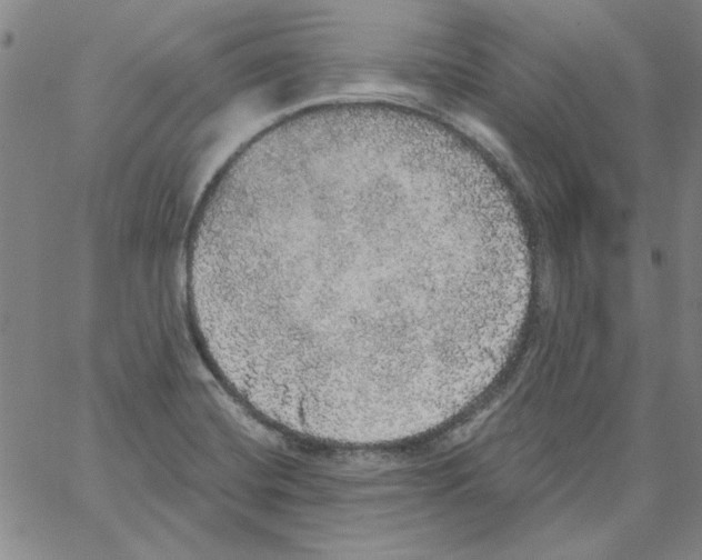 X0000066971420200604211855