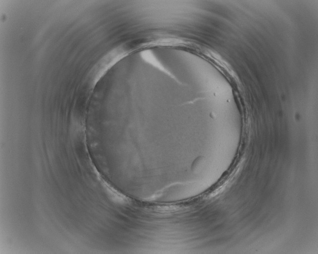 X0000066971425200604211855