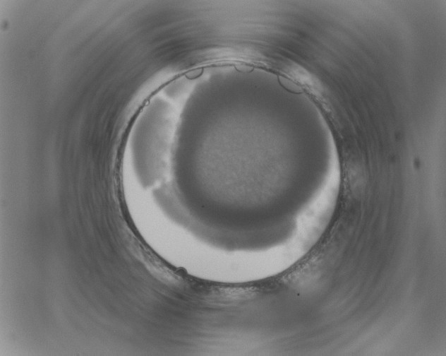 X0000066971427200604211855