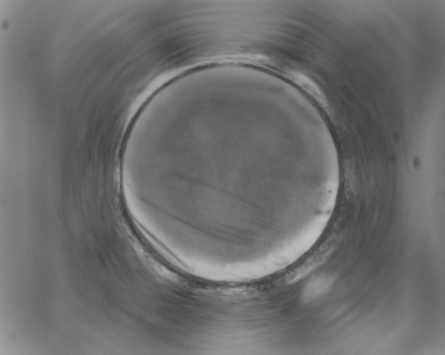 X0000066971428200604211855