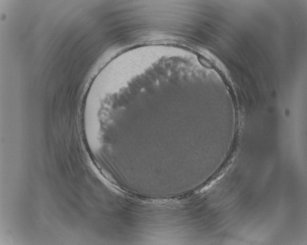 X0000066971429200604211855