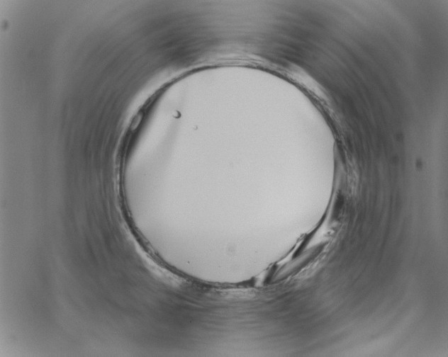 X0000066971430200604211855