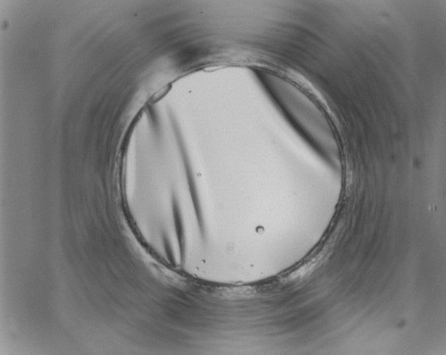 X0000066971434200604211855