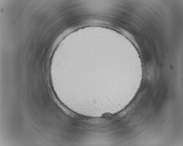 X0000066971437200604211855