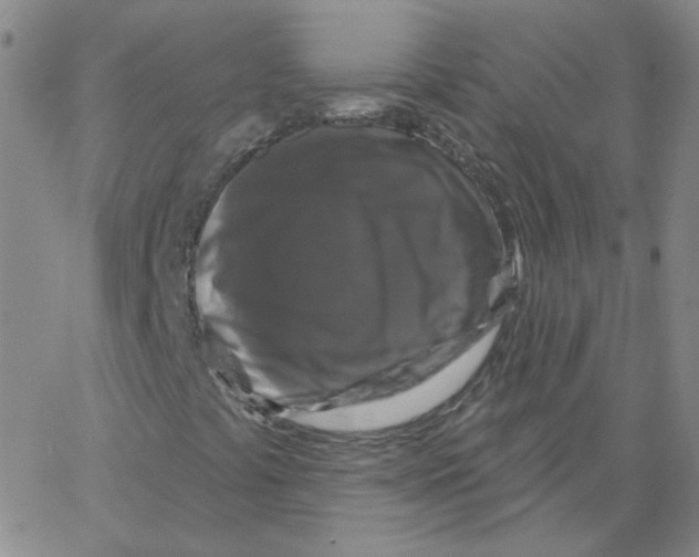 X0000066971441200604211854